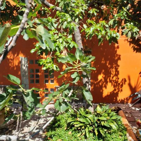 Ferienwohnung Ex Hacienda Guanajuato Exterior foto